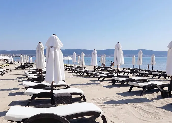 Oasis Vip Club Солнечный берег